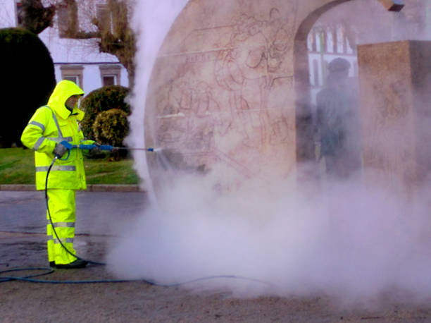 Best Pressure Washing Driveway  in Westland, MI