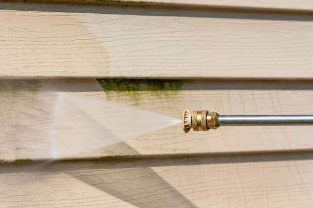 Best Best Pressure Washing Companies  in Westland, MI