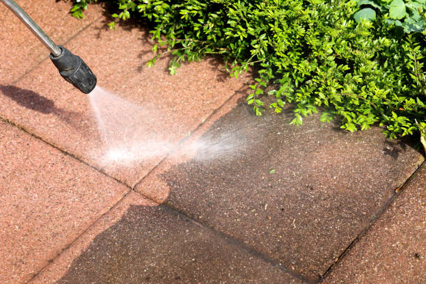 Best House Pressure Washing  in Westland, MI